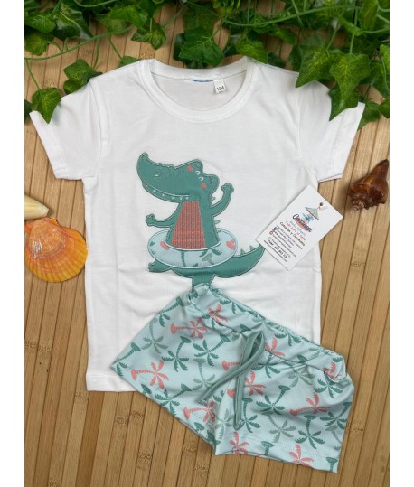 Conjunto 6621242