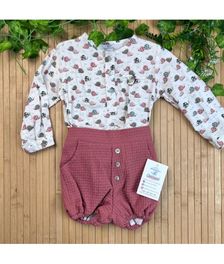 Conjunto 26538