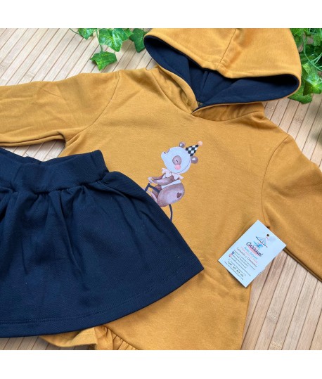 Conjunto 43