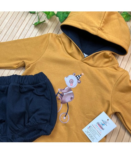 Conjunto 41