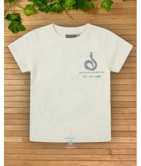Camiseta 25371021
