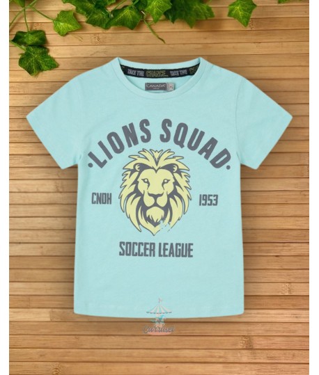 Camiseta 25373051