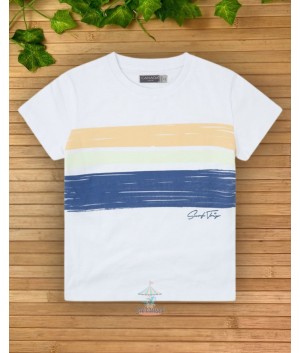 Camiseta 25374031