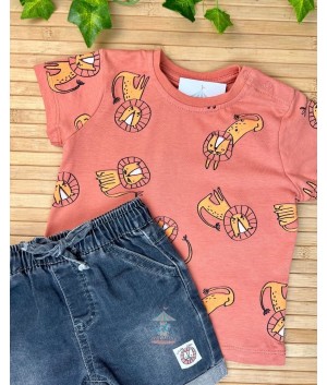 Conjunto 24112103