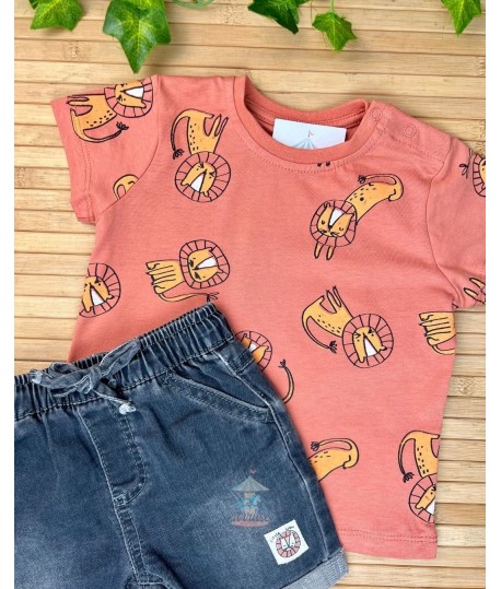Conjunto 24112103