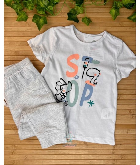 Conjunto 25111004