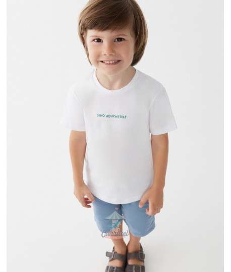 Camiseta 254082