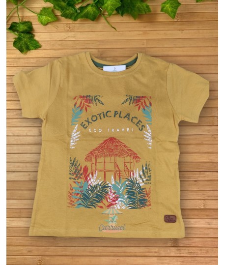Camiseta 21202