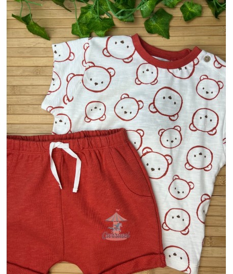 Conjunto Osos 1652