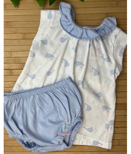 Conjunto 41288