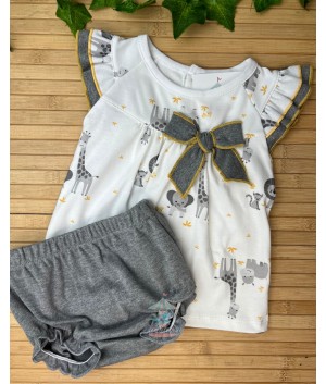 Conjunto 26010