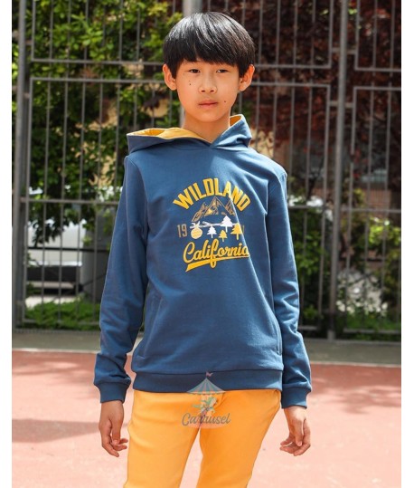 Sudadera 325023 Azafata