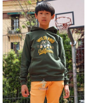 Sudadera 325023 Verde