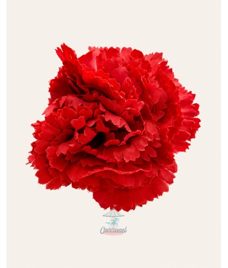 Clavel Pequeño Rojo