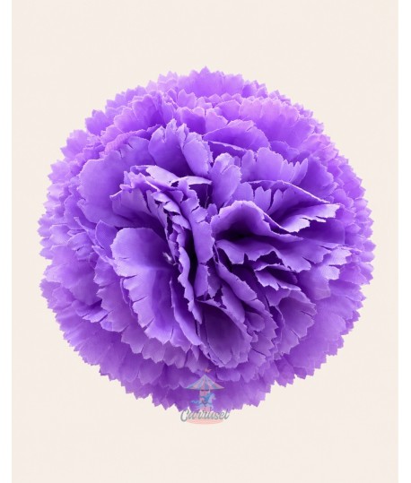 Clavel Pequeño Malva
