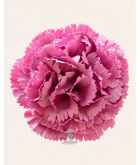 Clavel Pequeño Iris