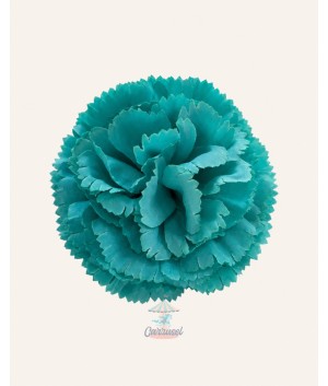 Clavel Pequeño Verde Piscina