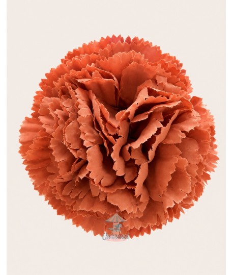Clavel Pequeño Terracota