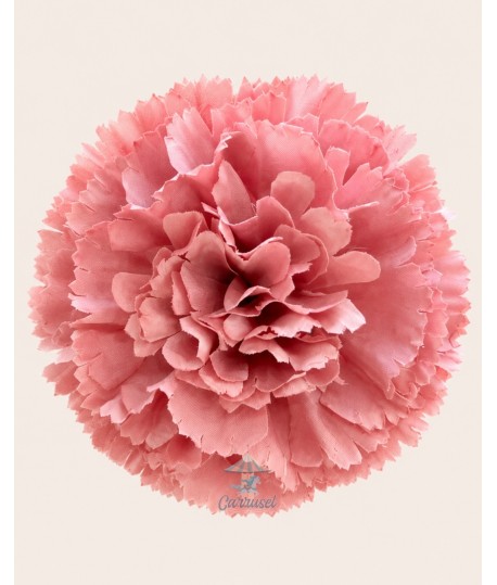Clavel Pico Pato Rosa Maquillaje