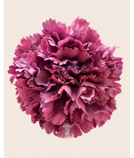 Clavel Grande Iris