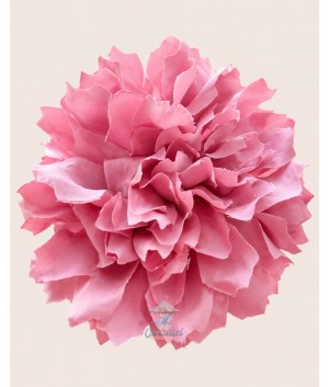 Peonía Mediana Rosa Empolvado
