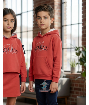 Sudadera 4013011