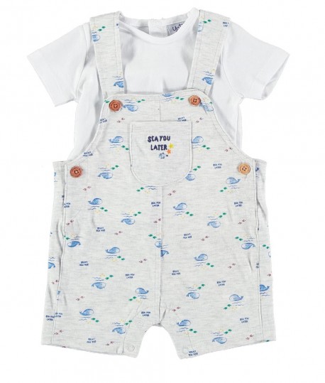 Conjunto Peto ballena