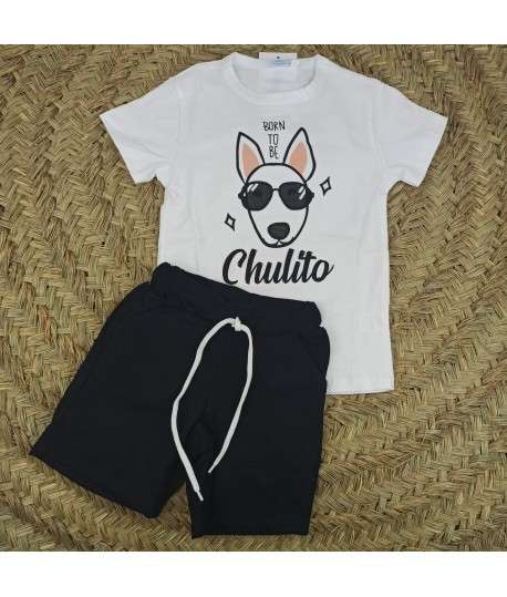 Conjunto Perro Gafas 156711
