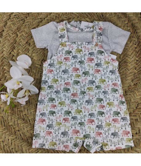 Conjunto 25960